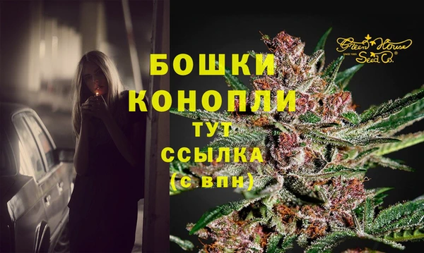 ешки Белокуриха