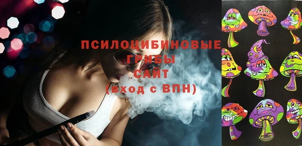 ешки Белокуриха