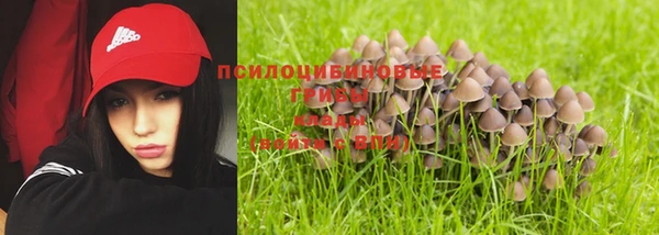 ешки Белокуриха