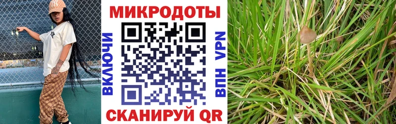 Псилоцибиновые грибы Cubensis  Кузнецк 
